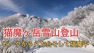 【20220106】裏磐梯猫魔ヶ岳手前のピークから八方台そして猫魔平へ、スノーシュートレッキング