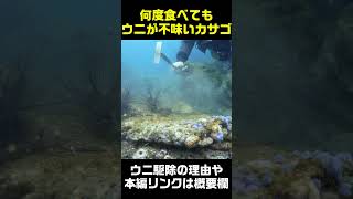 ウニが不味かったカサゴの反応