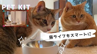 【自動給餌器】最新家電PETKIT購入！犬猫達の反応は？　The life with dogs and cats.