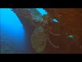 diving the hilma hooker wreck in bonaire