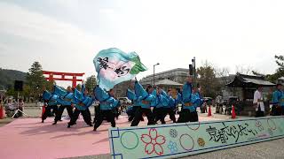 19 京炎そでふれ！文舞蘭 京都さくらよさこい2024 2日目[4K]