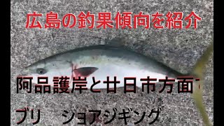 〔広島釣り〕広島の釣果傾向！ サヨリからイワシとアジにベイトが変化し寒ブリが美味い。青物の爆釣間違いなし、アジとコノシロの泳がせ釣りとショアジギングでハマチ・ヤズが釣れたから阿品護岸と廿日市方面でブリ