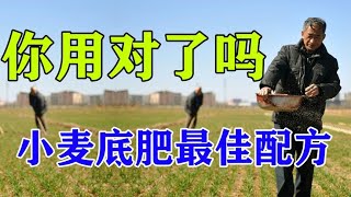 小麦底肥，配方该换了，这样省钱效果好，亩产轻松达到1500斤