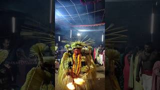 Darma Daiva Kuppe Panjurli | Arayi Alloth Sree Karinchamundi Devasthanam #culture #panjurli #tulu