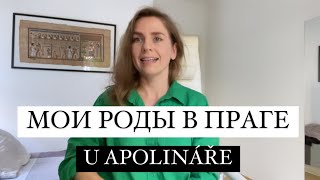 РОДЫ В ЧЕХИИ | NEMOCNICE U APOLINÁŘE | РОДДОМ В ПРАГЕ🇨🇿👶🏻🤰🏼 #родывпраге #uapolinare #childbirth