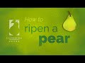 How to Ripen a California Pear