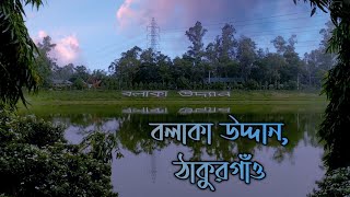 বলাকা উদ্দান, ঠাকুরগাঁও