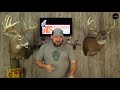 best deer attractant 2024 top 7 deer attractant for hunting