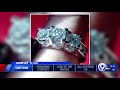 state police looking for owner of lost engagement ring