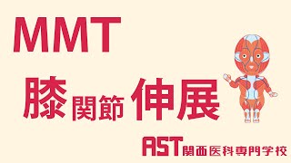 【関西医科専門学校】MMT膝関節伸展