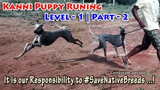 கன்னி குட்டியின் ஓட்டம் - 2 | Kanni Puppy Running - 2