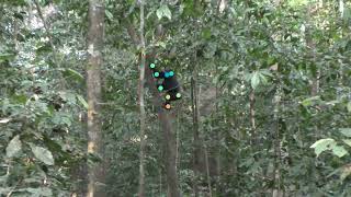 DeepWild2.0_BudongoClimbup