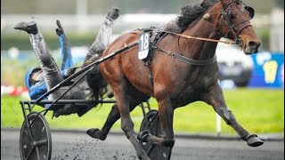 Prix d’Amerique Gr1 2025 - Idao De Tillard \u0026 Clément  Duvaldestin 1.11,1 2700m ( English Speak )