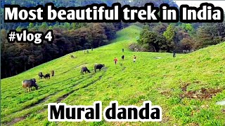 Best trekking route in himachal | Trek in mural danda trek | Moral danda | Mural danda| RT09 vlog