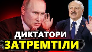 ШЕЙТЕЛЬМАН: Груба ПОМИЛКА Путіна і Медведєва / Лукашенко ЗАПАНІКУВАВ! Готує Білорусь до ВІЙНИ