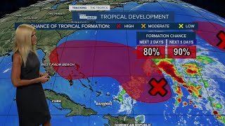 Tropical system has high chance of development, could impact Florida in coming days