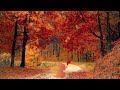 ምርጥ ዝግ ያሉ የአማርኛ ክላሲካል best relaxing music for meditation and study ለጥናት ክላሲካል ebsworldwide