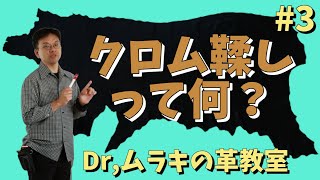 【Dr,ムラキ】クロム鞣しを詳しく解説。#3