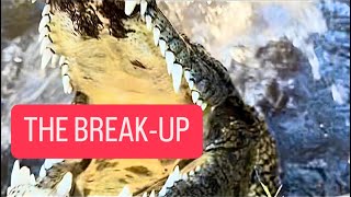 THE BREAK-UP