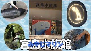 【広島県廿日市市】宮島水族館！通称みやじマリンに行ってきた♪