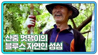 산중 멋쟁이의 블루스 자연인 성심 MBN 220608 방송