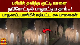 பசியில் தவித்த குட்டி யானை நடுரோட்டில் பாலூட்டிய தாய்..!பாதுகாப்பு பணியில் ஈடுபட்ட சக யானைகள்