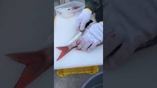 セブン船長魚捌き動画　タイのこつ2