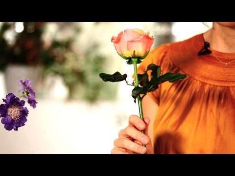 How to Make Roses Last Longer | Wedding Flowers How to Make Roses Last Longer | Wedding Flowers