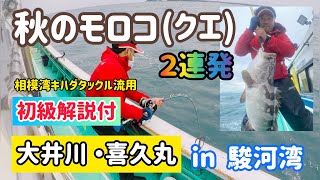 【駿河湾モロコ (クエ) 】 喜久丸 ２連発 【🔰初級解説あり】 2020年10月末 相模湾キハダタックル流用 Longtooth grouper #1