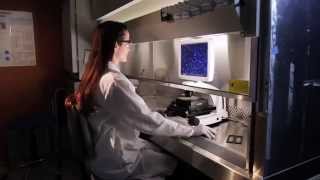 Fluorescence microscope demo video – EVOS FL