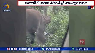 Viral Video | Elephant Attacks A Two Wheeler at Kerala |  కేరళలో ద్విచక్ర వాహనంపై ఏనుగు దాడి