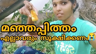 മഴക്കാലമാണ് എല്ലാവരും സൂക്ഷിക്കണം ഇതുപോലെ ഇനി അബദ്ധം പറ്റാൻ ഇല്ല#Elana Beauty vlog