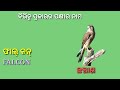 all birds name in english u0026 odia ll birds name with pictures ll birds vocabulary in odia ll