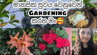 Gardening කියන්නේ ලස්සන පිස්සුවක් 😍🍃වගාවත් එක්ක ගෙවෙන නිවාඩු දවස් | Village Lifestyle Vlog