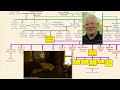 THE WHITTAKERS A West Virginia Inbred Family Tree Explained- Mortal Faces