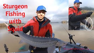 How To - Sturgeon fishing with Squid.