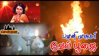 🔥கார்த்திகை தீபம் #velpoojai #பழனி முருகர்#thiruvanamalaideepam