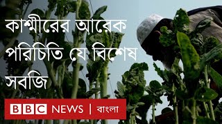 কাশ্মীরের বিশেষ পরিচিতি পেয়েছে যে 'হাক' সবজি | BBC Bangla