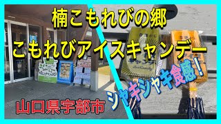 楠こもれびの郷で懐かしのアイスキャンデーを食べる！山口県宇部市　#山口県アイスキャンデー