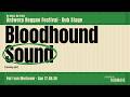Bloodhound Sound (Closing Set) | Antwerp Reggae Festival 2026 (Dub Stage, Antwerp)