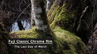 Fuji Classic Chrome simulation - perfect for filming nature (DCI sample film)