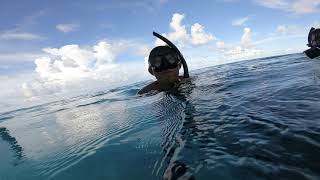 錠洋的馬爾地夫潛旅～Maldives free diving