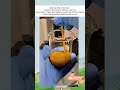 health benifits of termeric viralvideo turmeric reels trending