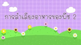 วิทยาศาสตร์ ม.1 (การลำเลียงอาหารของพืช ตอนที่ 2)