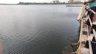 Causeway Surat Gujarat | water view