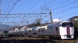 【JR東日本】東海道線215系とE231系並走シーン