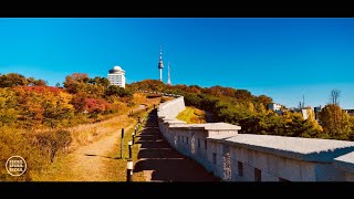 [4K] Beautiful autumn leaves Namsan Park in Seoul