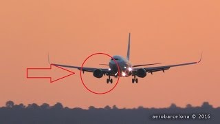 [FULL HD] Germania 737 BIRD SUCKED INTO ENGINE! Palma de Mallorca Airport