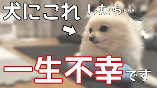 愛犬を苦しめる飼い主の古い勘違い【犬の飼い主】