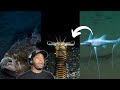 21 Minutes of Deep Sea ALIENS - Explained